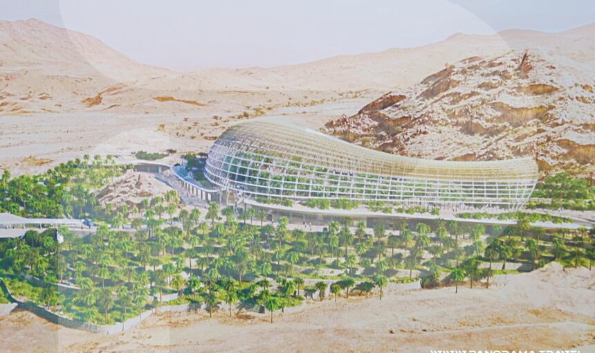 A JOURNEY THROUGH OMAN’S BOTANICAL TREASURES