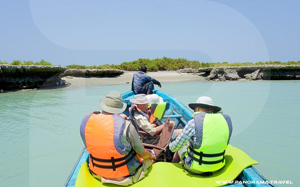 Bird of Oman Exploring Remote Island