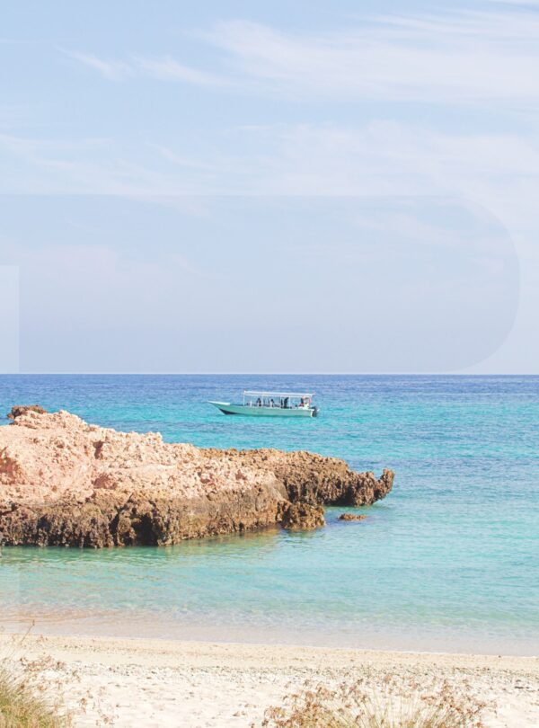 Daymaniyat Island Tour