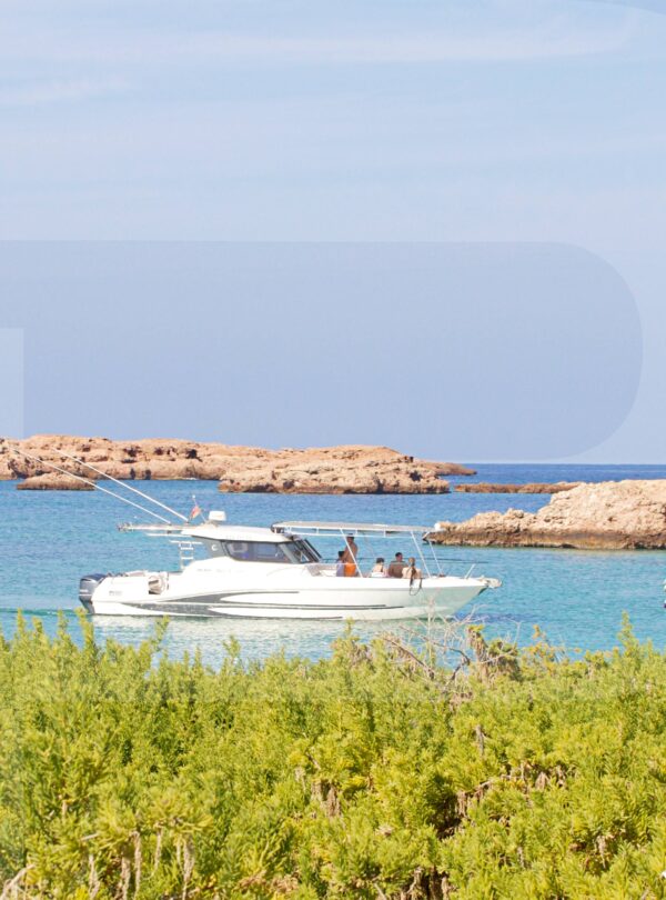 Daymaniyat Island Tour