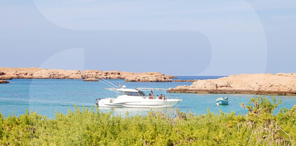Daymaniyat Island Tour