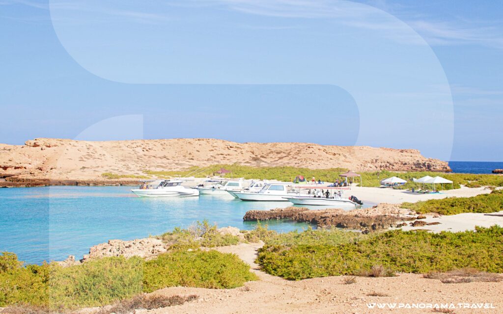 Daymaniyat Island Tour