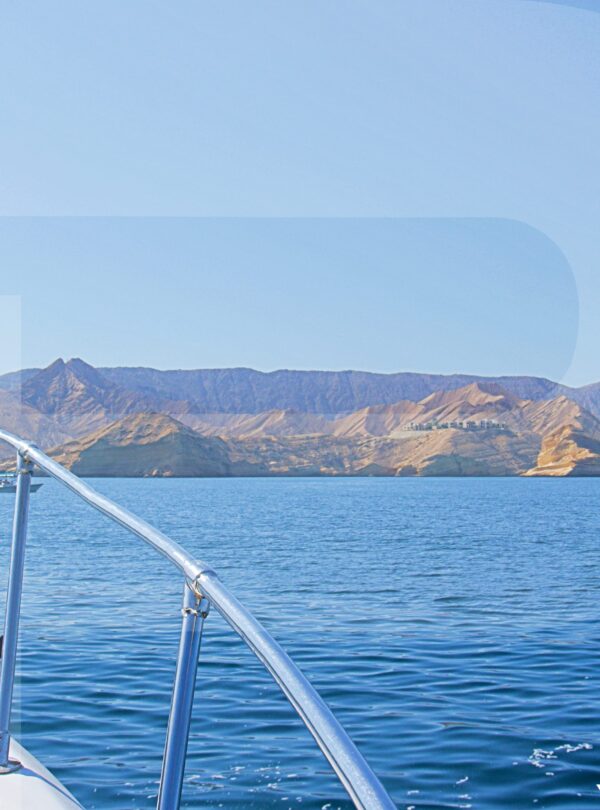 Dolphin Watching And Snorkeling Muscat