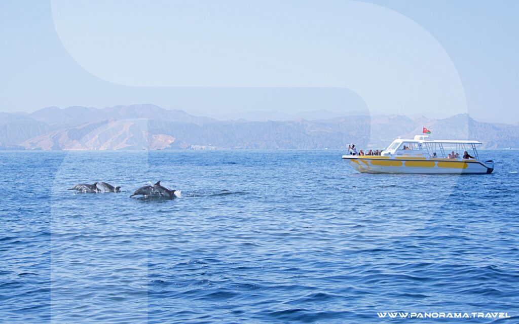 Dolphin Watching And Snorkeling Muscat