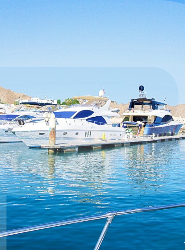 Dolphin Watching And Snorkeling Muscat