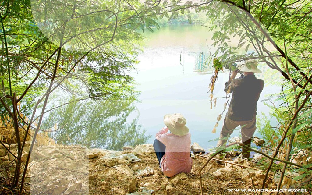 Muscat Birdwatching Tour