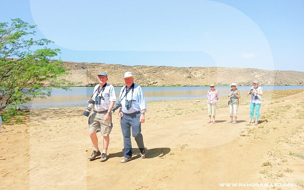 Oman-Birding-Adventure