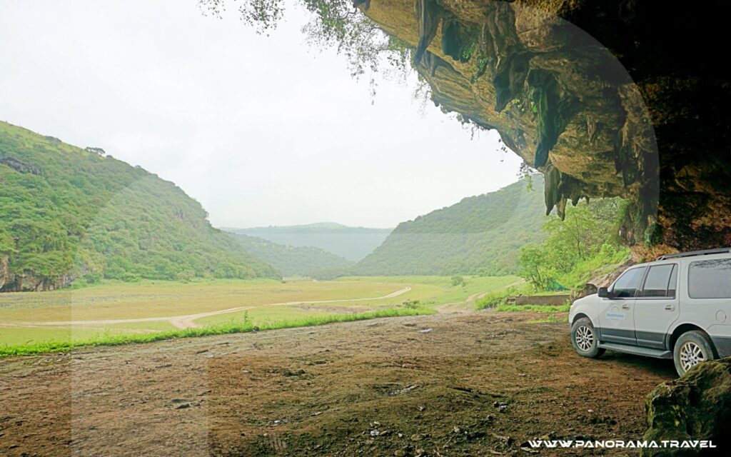 Oman Wildlife Tours