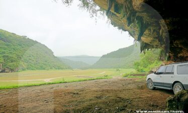 Oman Wildlife Tours