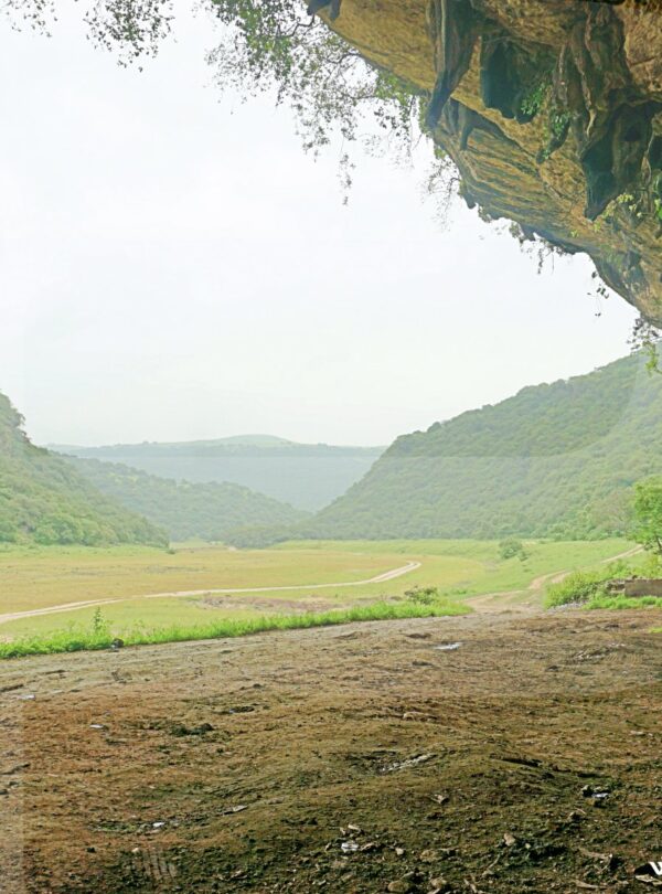Oman Wildlife Tours