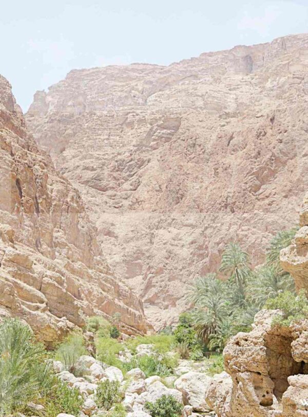Wadi shab