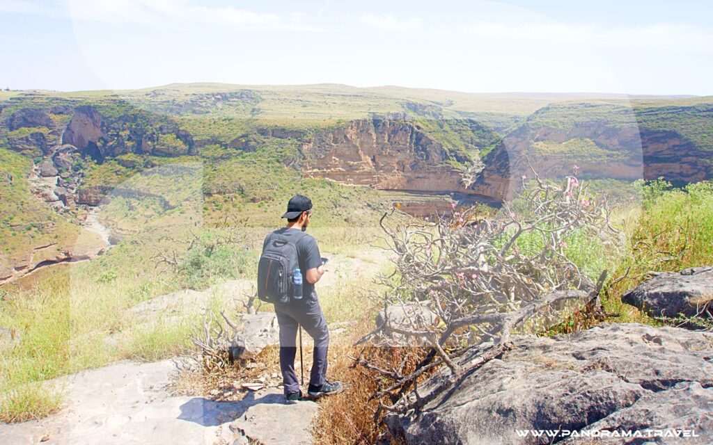 Hekking & Trekking