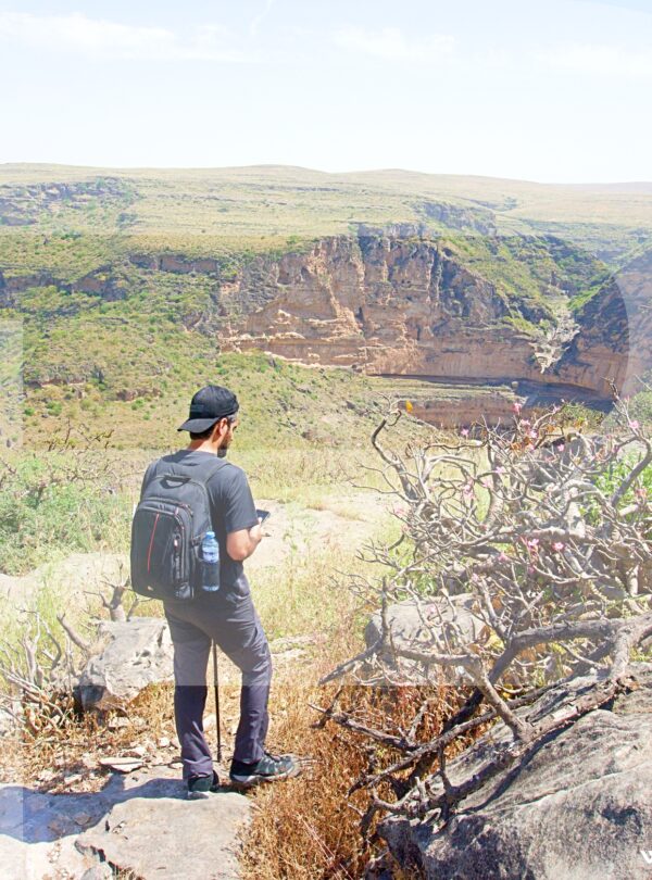 Hekking & Trekking