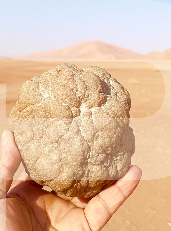 Oman Geology Tours Dhofar Geodes