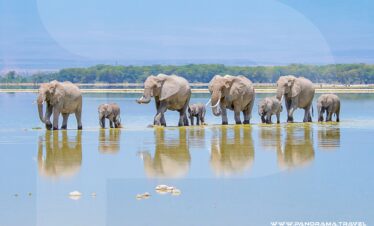 Kenyas-safari-Birding-Trip